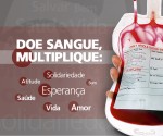 capa_infografico1
